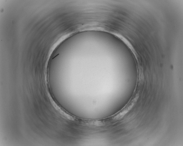 X0000072950957200608111622