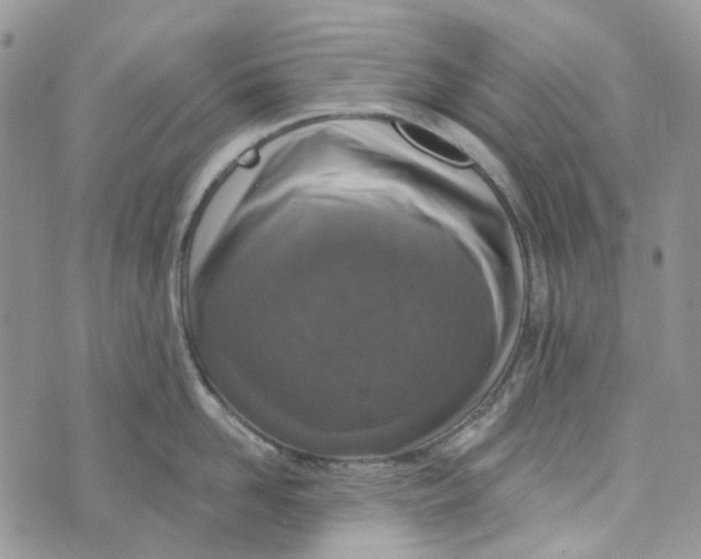 X0000072950958200608111622