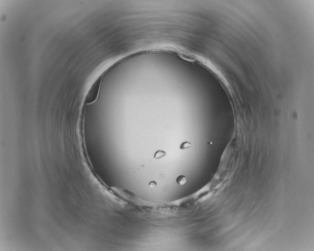 X0000072950959200608111622