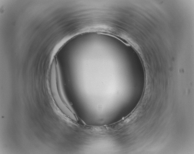 X0000072950960200608111622