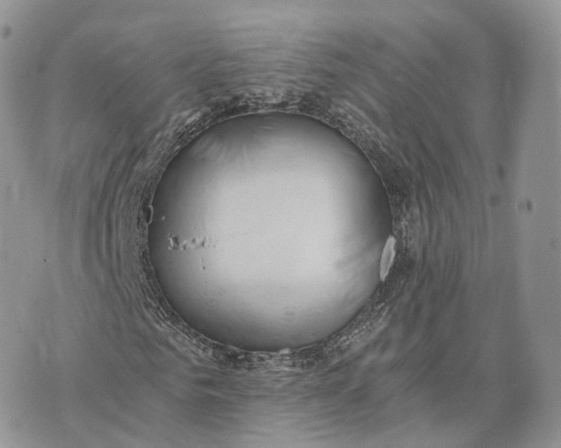 X0000072950961200608111622