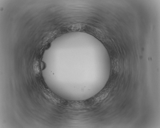 X0000072950962200608111622