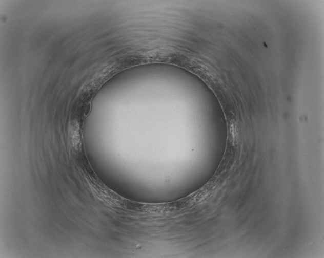 X0000072950963200608111622