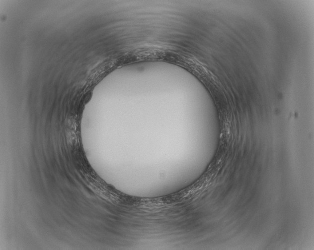 X0000072950964200608111621