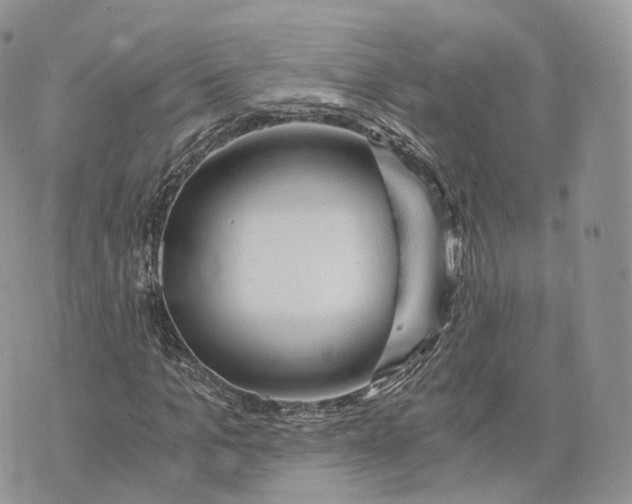 X0000072950965200608111621