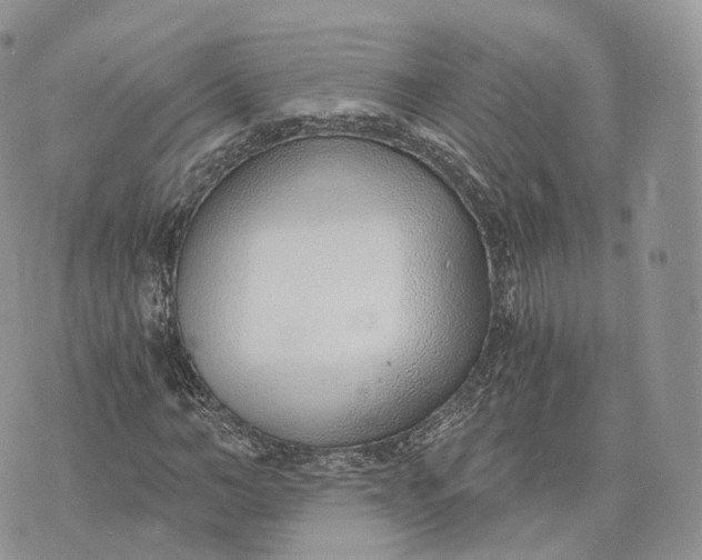 X0000072950966200608111621