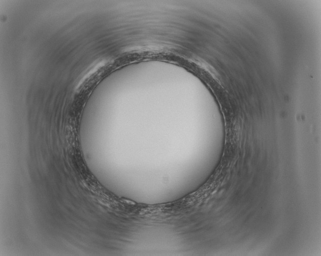 X0000072950967200608111621