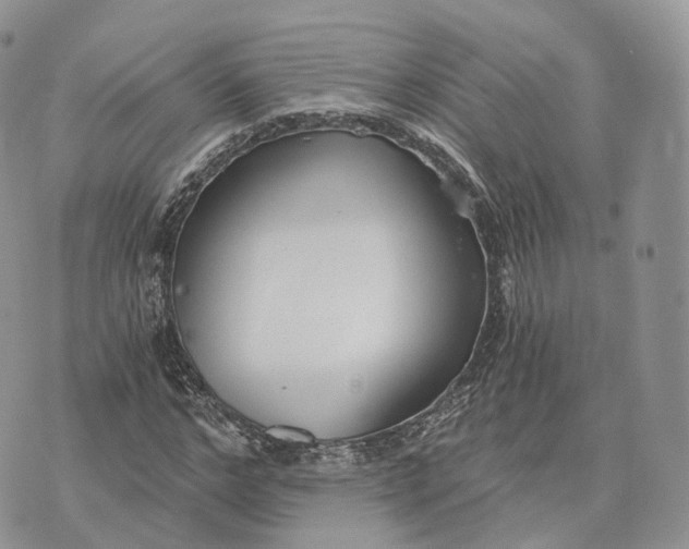 X0000072950968200608111621