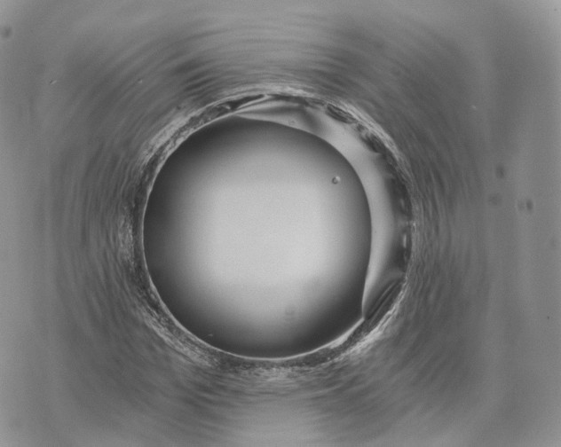 X0000072950969200608111621