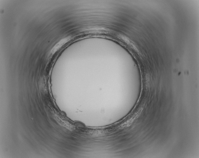 X0000072950970200608111621