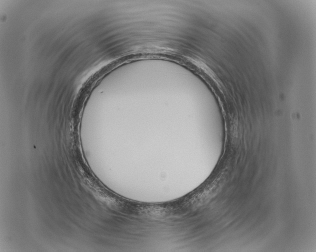 X0000072950971200608111621