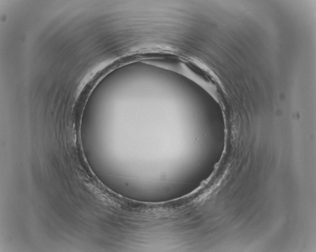 X0000072950973200608111621