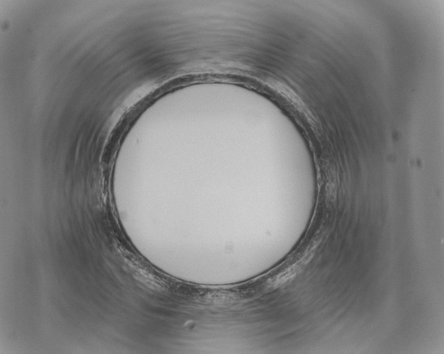 X0000072950974200608111621