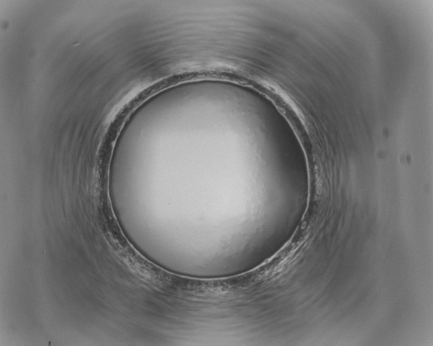 X0000072950975200608111621