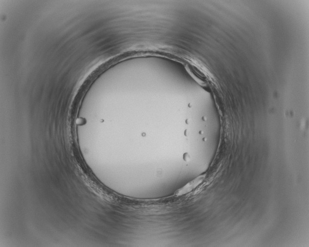 X0000072950976200608111621