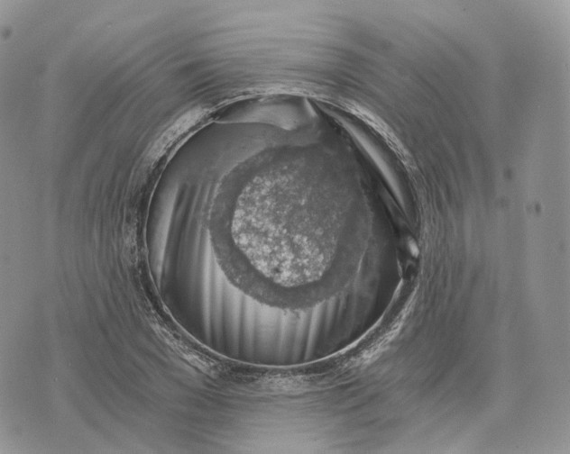 X0000072950977200608111621