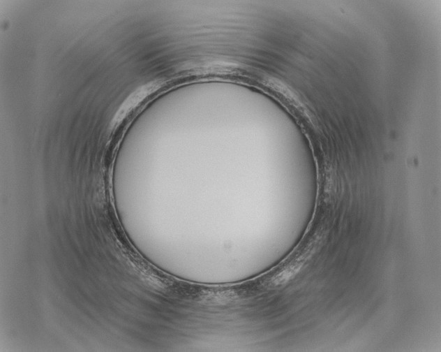 X0000072950978200608111621