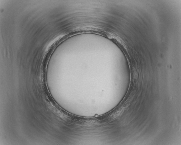 X0000072950979200608111621