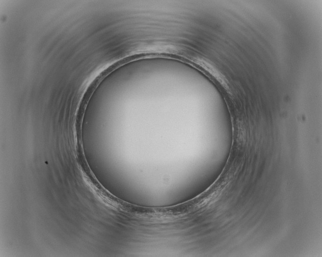 X0000072950980200608111621