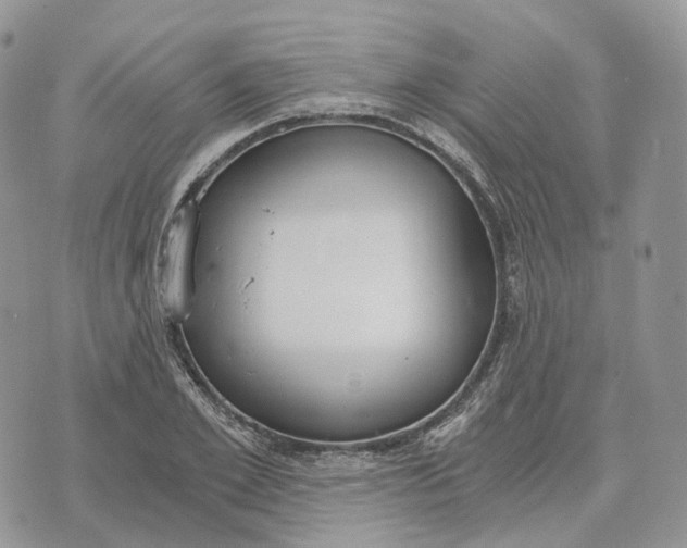 X0000072950981200608111621