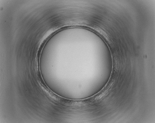 X0000072950982200608111621