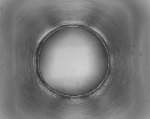 X0000072950983200608111621