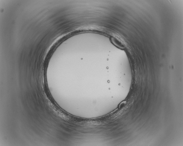 X0000072950984200608111621