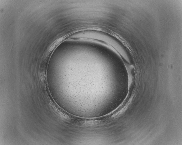 X0000072950985200608111621