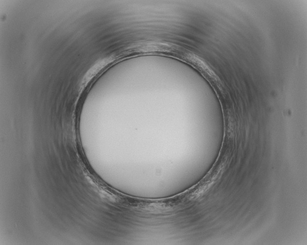 X0000072950986200608111621