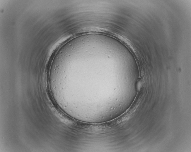 X0000072950987200608111621