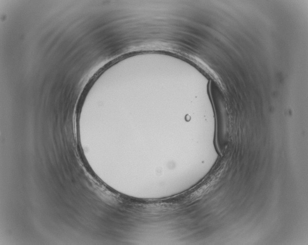 X0000072950988200608111621