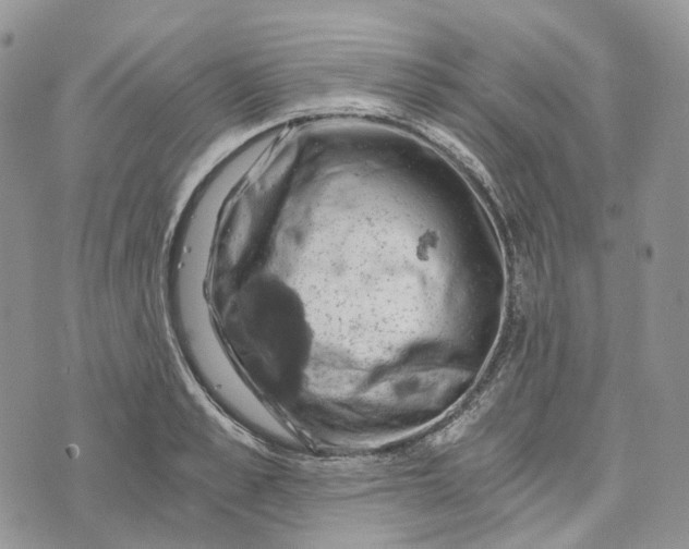 X0000072950989200608111621