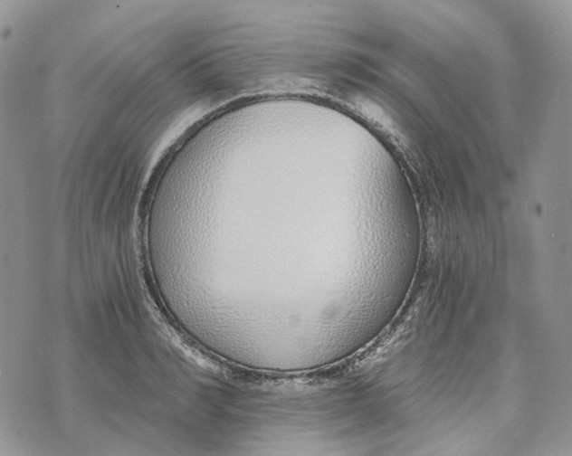 X0000072950990200608111621