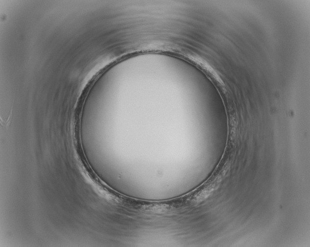 X0000072950991200608111621