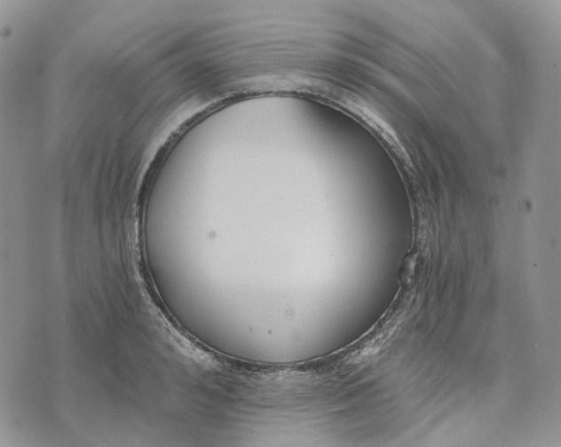 X0000072950992200608111621