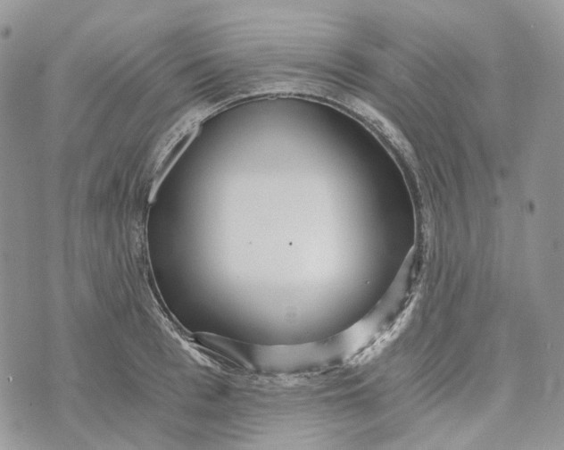 X0000072950993200608111621