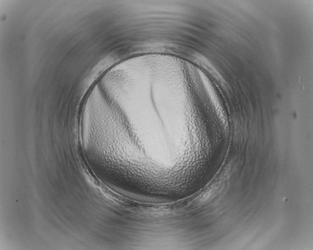 X0000072950994200608111621