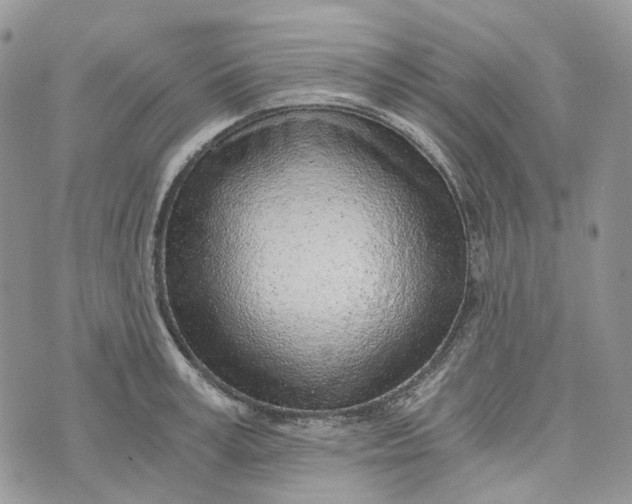 X0000072950995200608111621