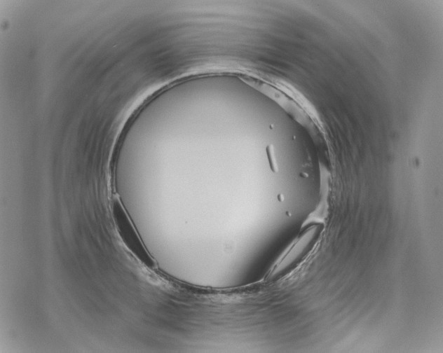 X0000072950996200608111621