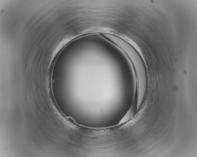 X0000072950997200608111621