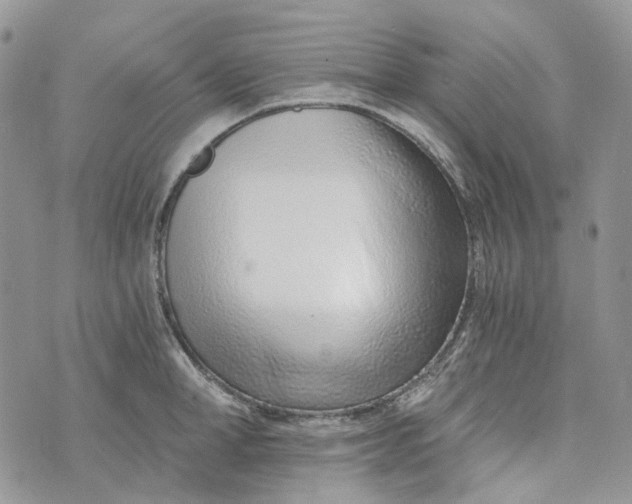 X0000072950998200608111621