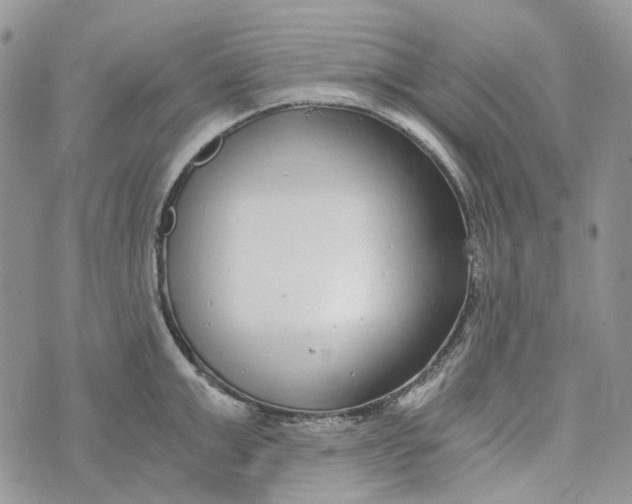 X0000072950999200608111621