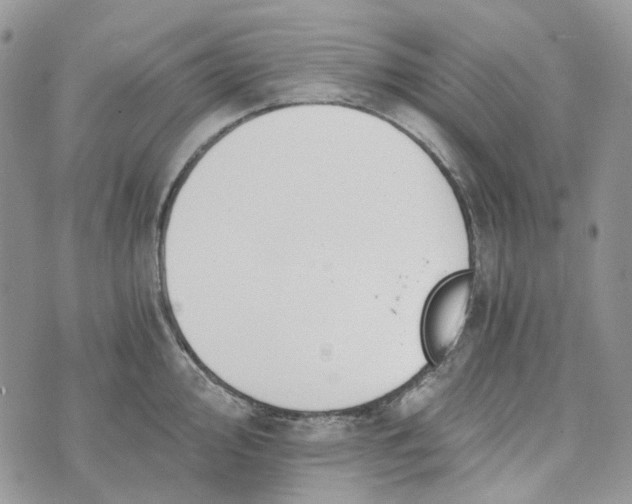 X0000072951000200608111621