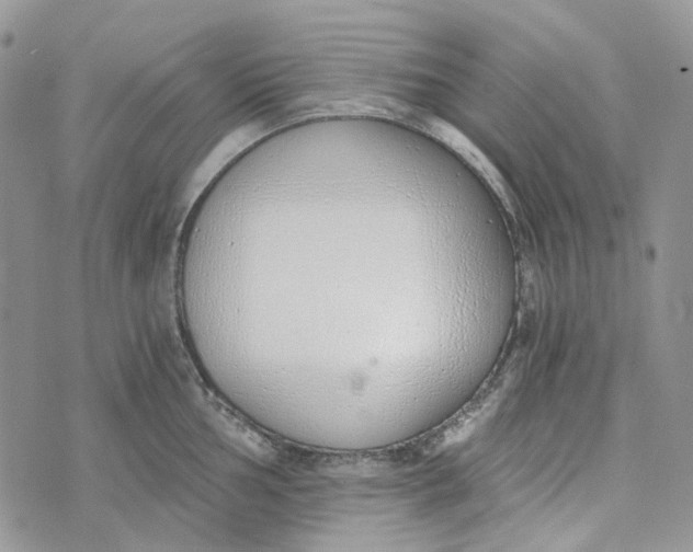 X0000072951002200608111621