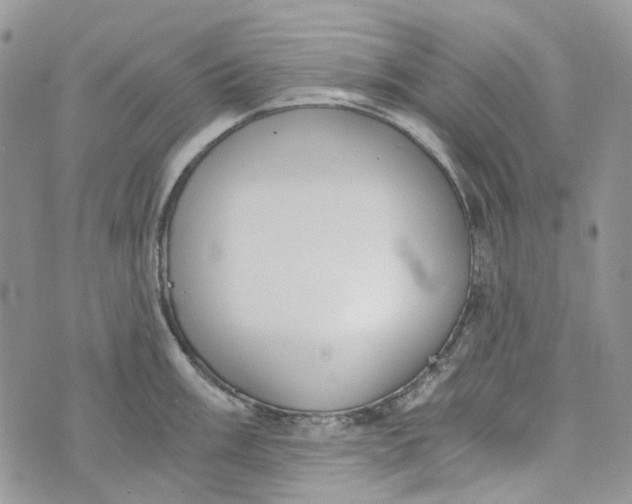 X0000072951003200608111621