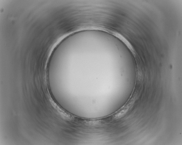 X0000072951004200608111621