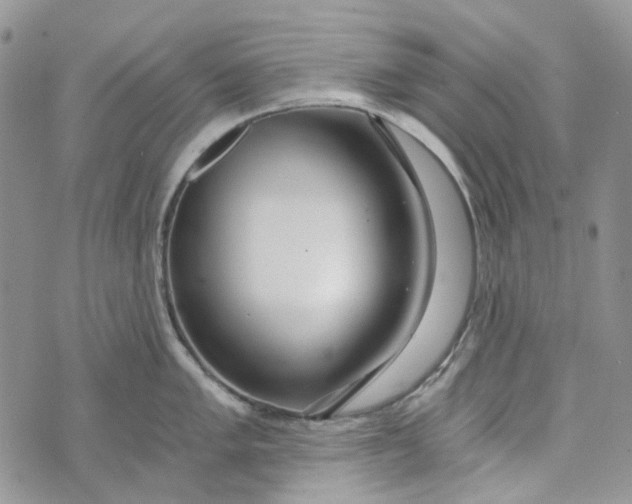 X0000072951005200608111621