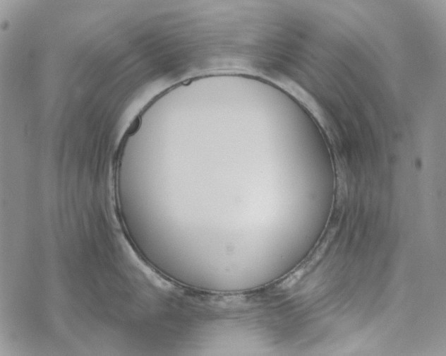 X0000072951006200608111621