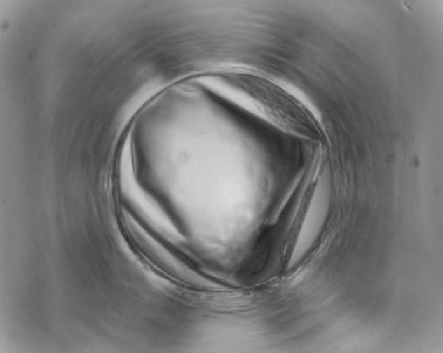 X0000072951007200608111621