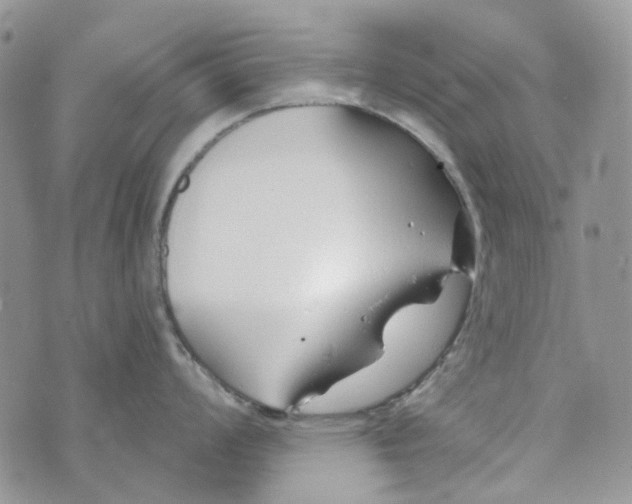 X0000072951008200608111621